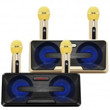 Колонка Bluetooth SDRD MP3 караоке 2 микрофона SD-301 черная